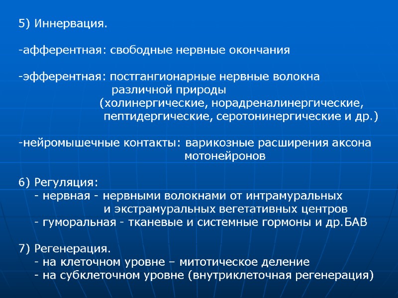 5) Иннервация.  афферентная: свободные нервные окончания   эфферентная: постгангионарные нервные волокна 